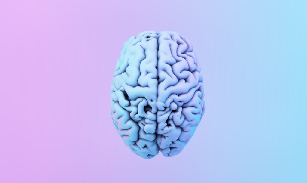 cursos neuromarketing