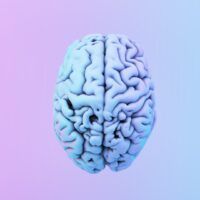 cursos neuromarketing